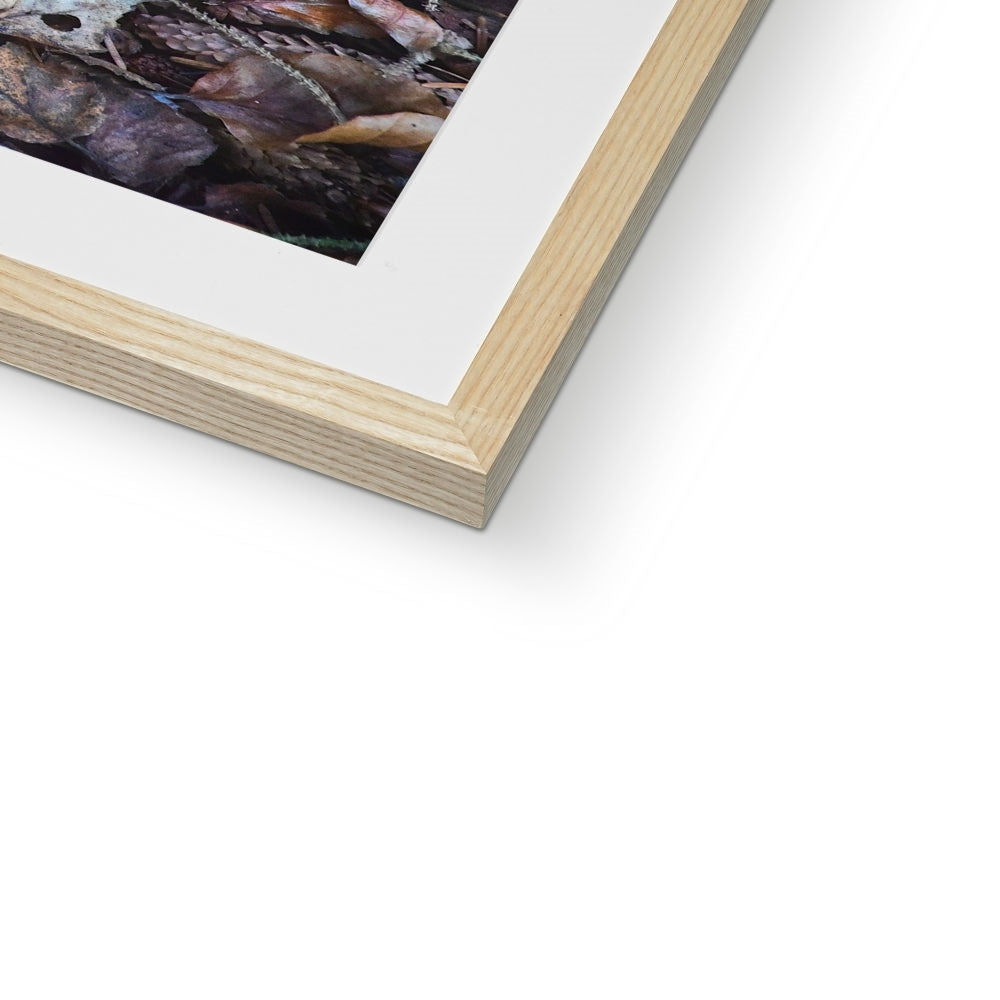" Fall " Framed & Mounted Print