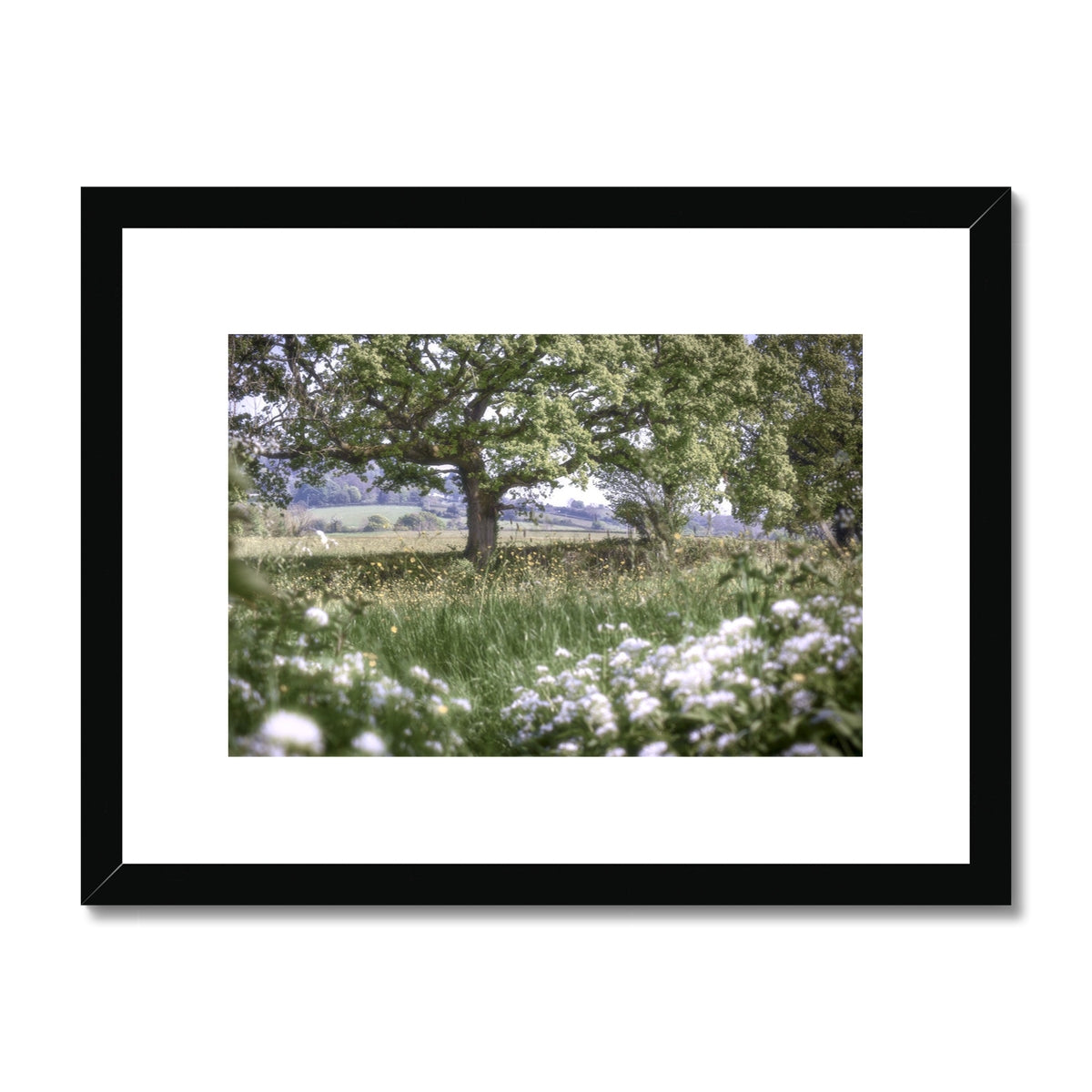 image0
