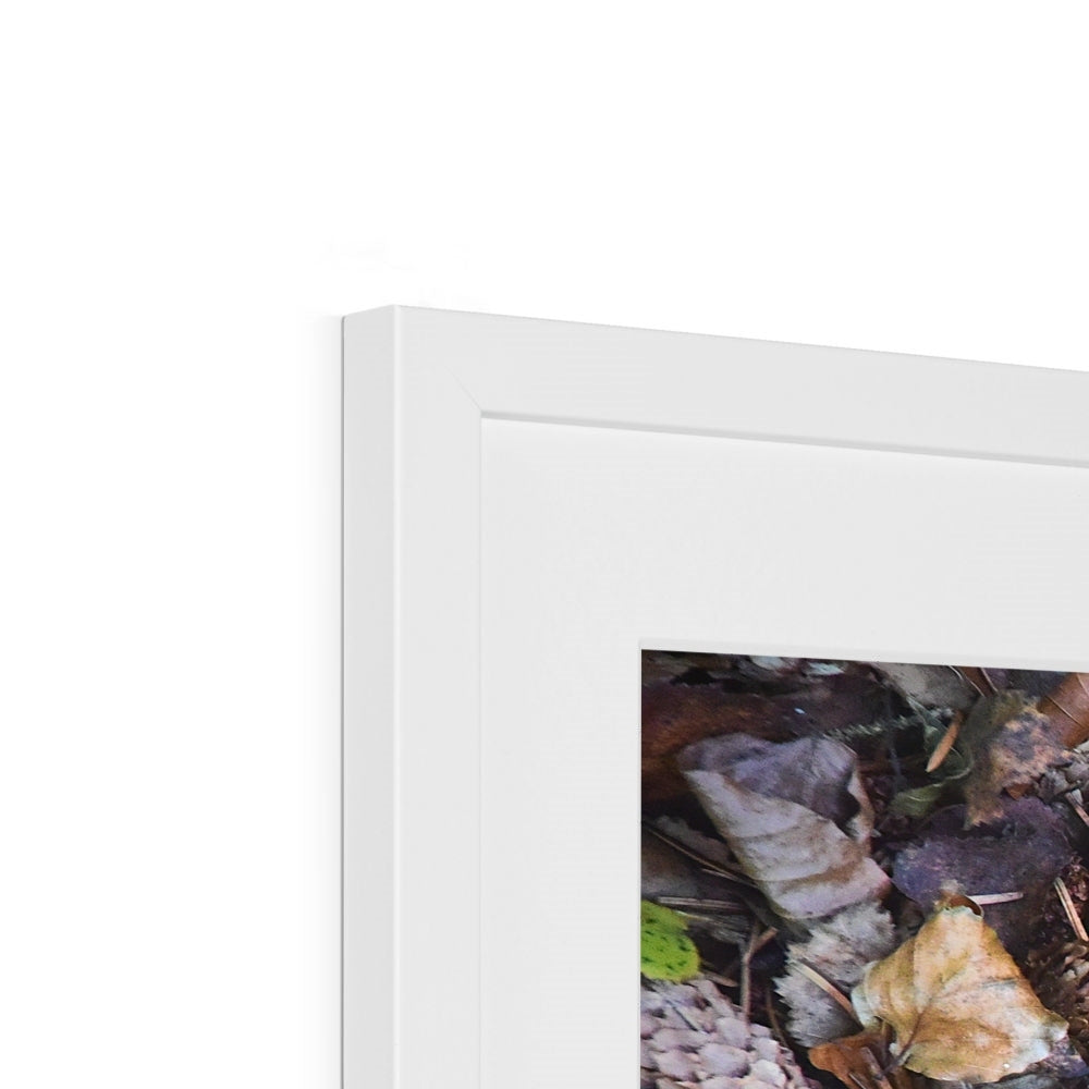 " Fall " Framed & Mounted Print