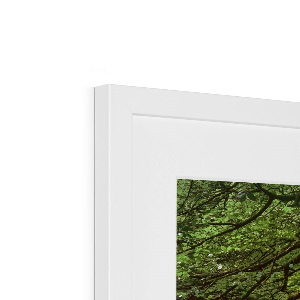 " Dartmoor in Flow #2 " Framed & Mounted Print