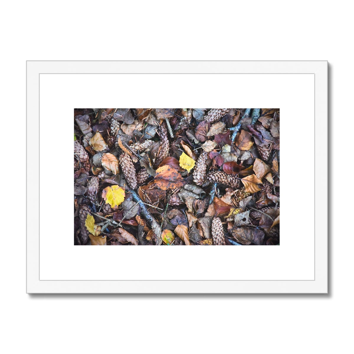 " Fall " Framed & Mounted Print