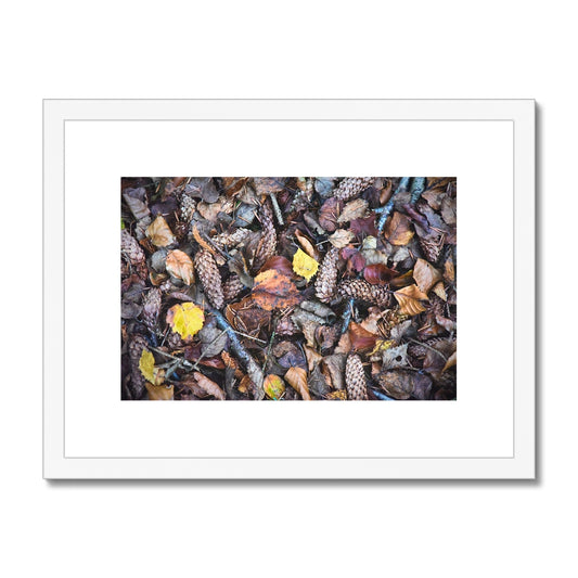 " Fall " Framed & Mounted Print