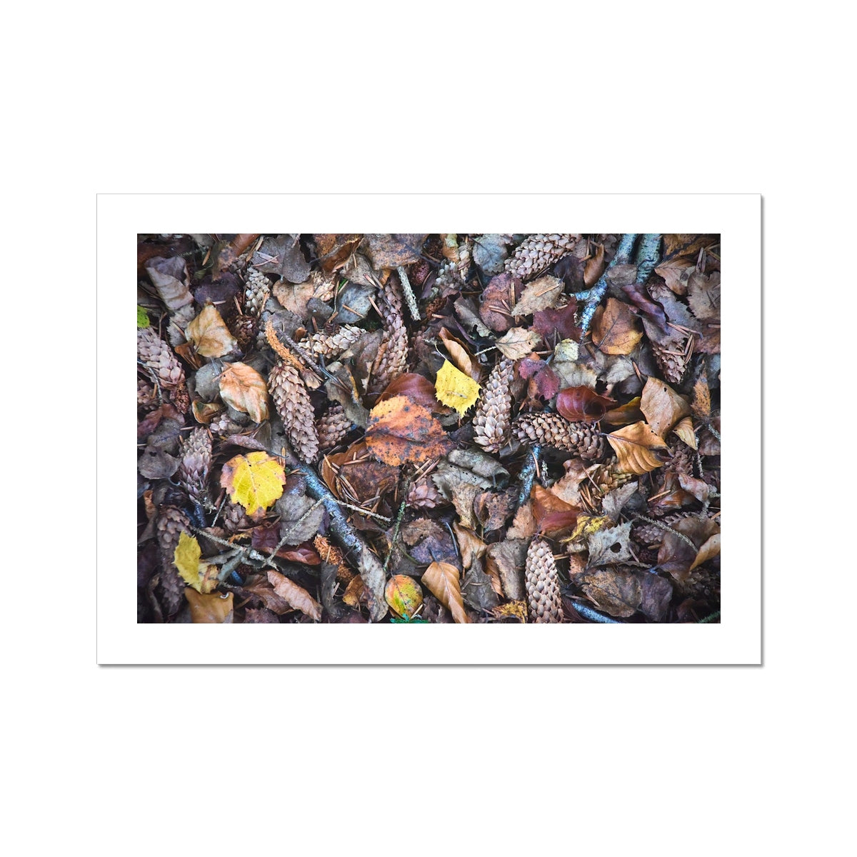 " Fall " Fine Art Print
