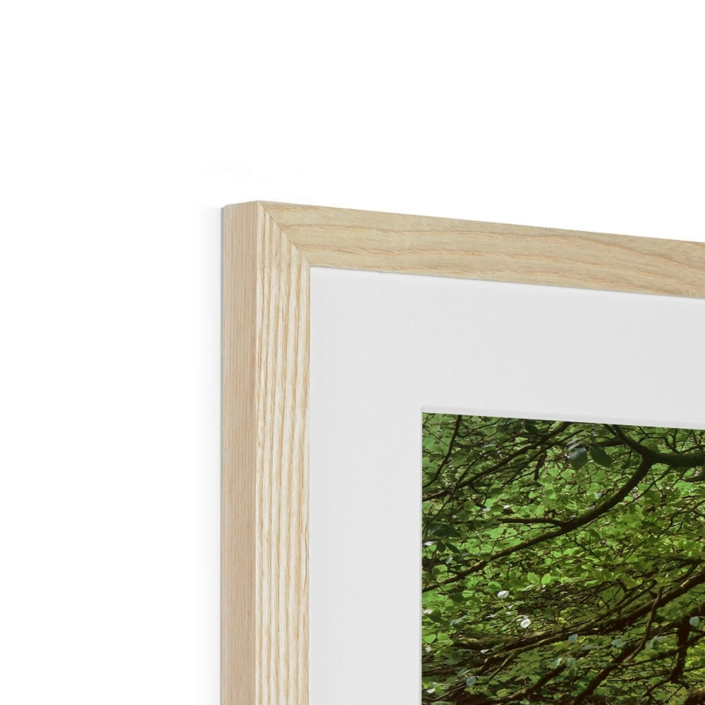 " Dartmoor in Flow #2 " Framed & Mounted Print