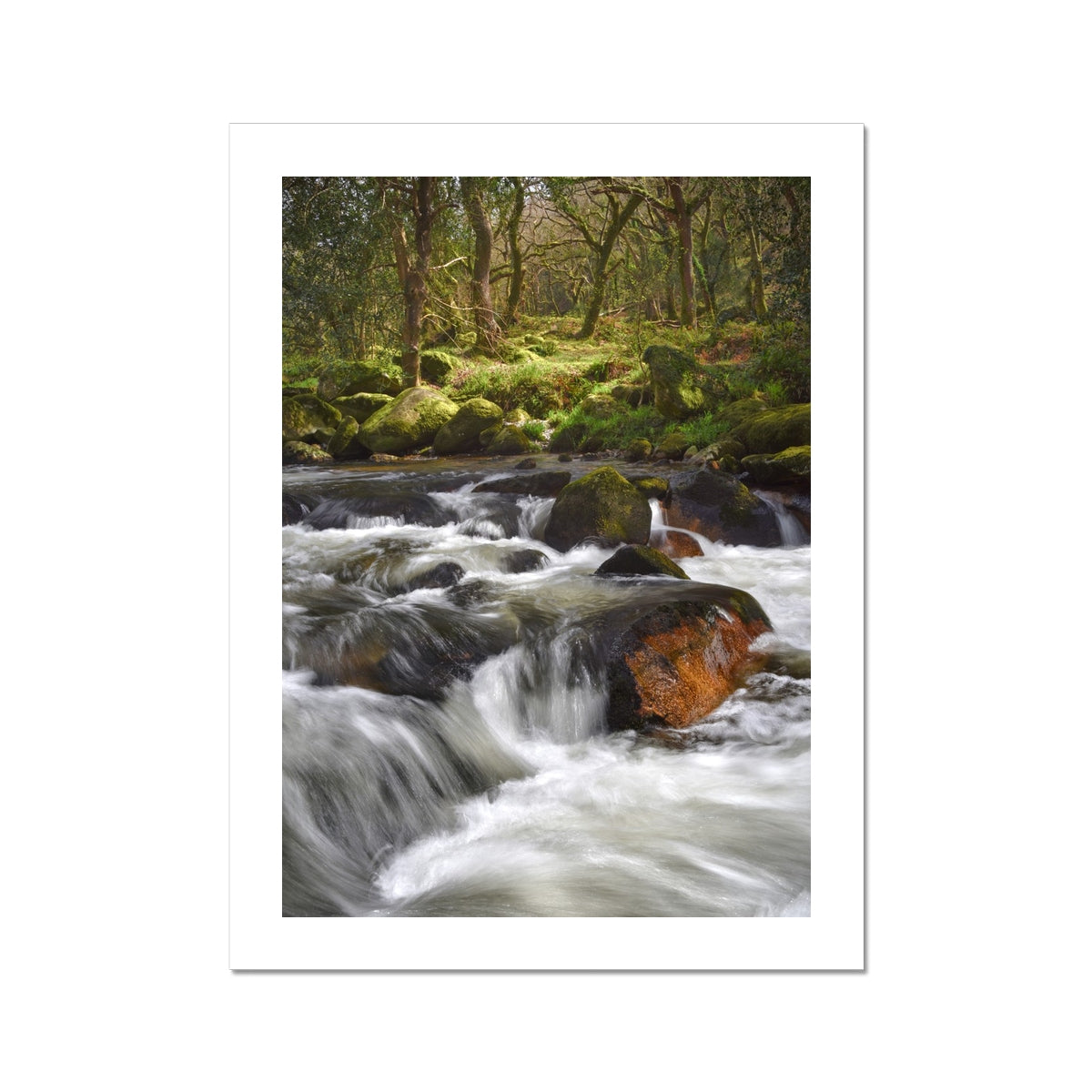 " Dartmoor in Flow #1 " Fine Art Print