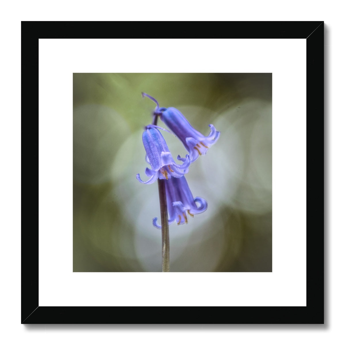 "Bella" Framed & Mounted Print