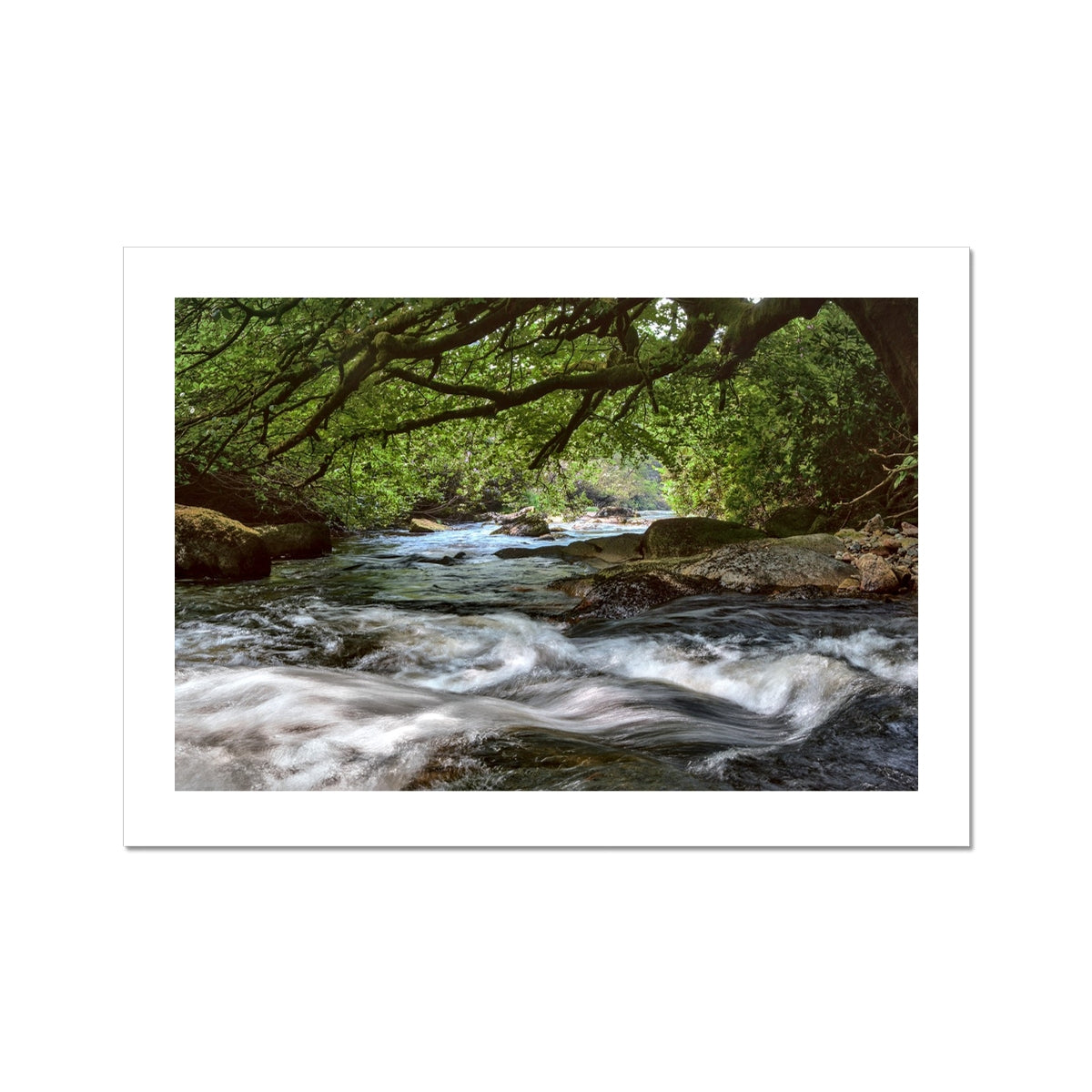 " Dartmoor in Flow #2 " Fine Art Print