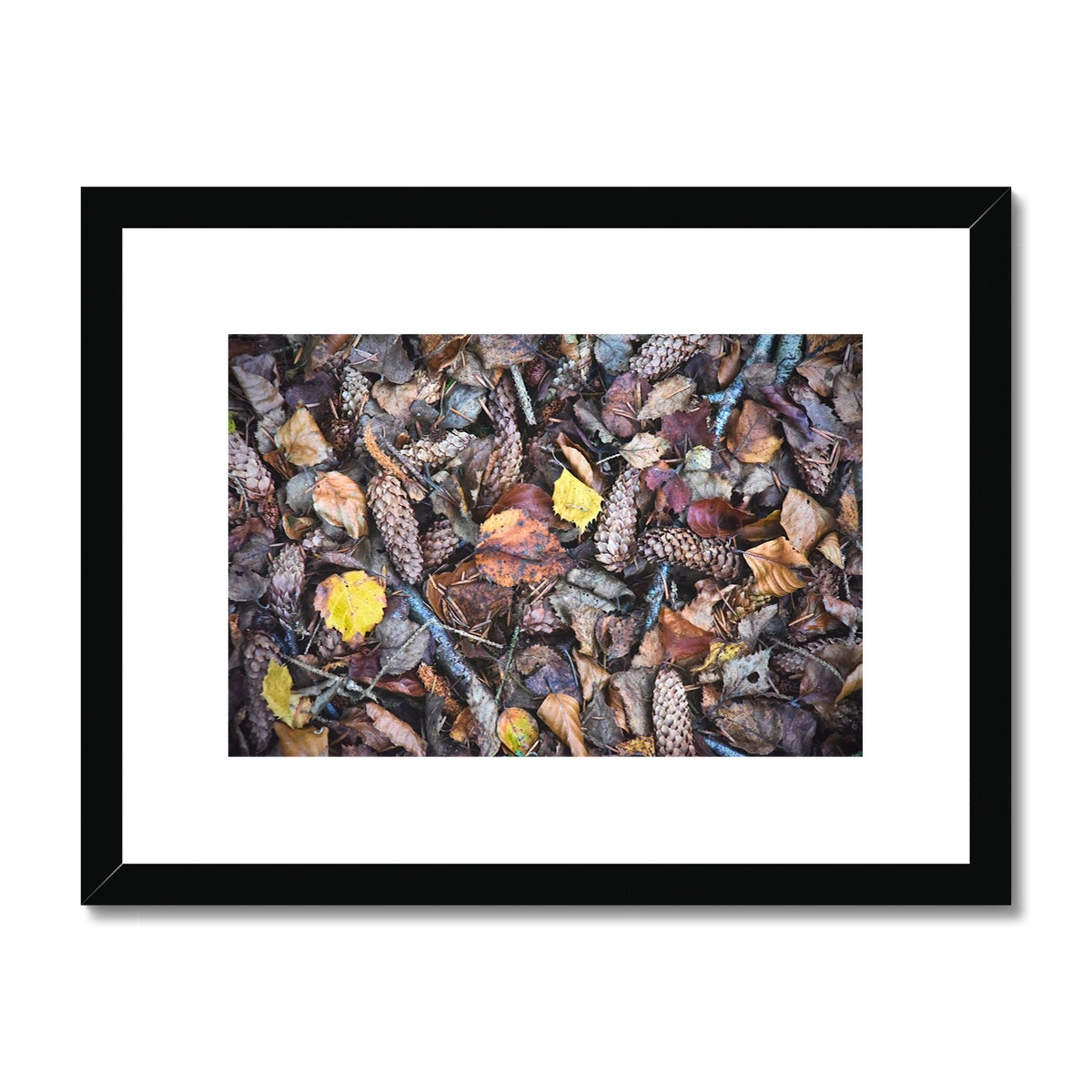 " Fall " Framed & Mounted Print