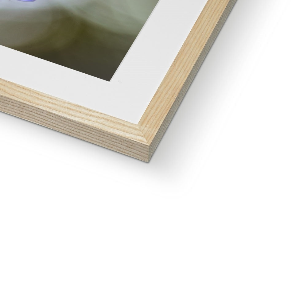 "Bella" Framed & Mounted Print