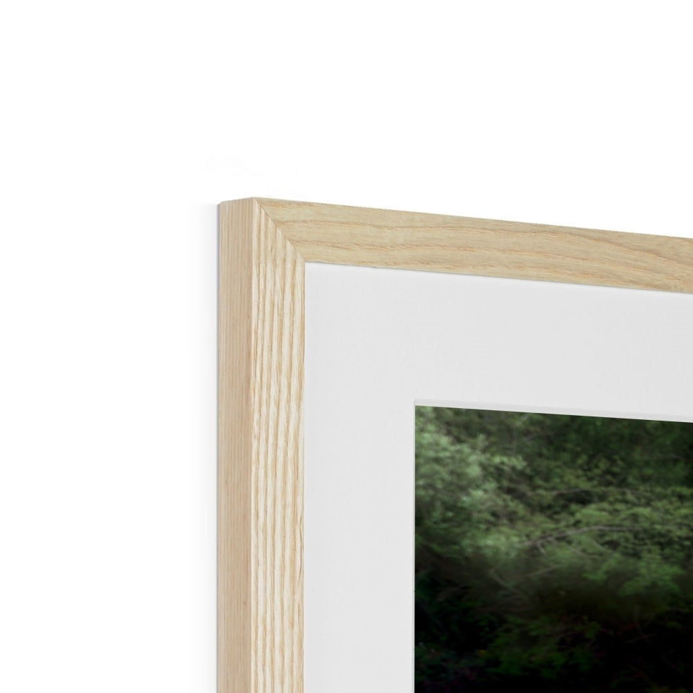 " In the Meadow " Framed & Mounted Print