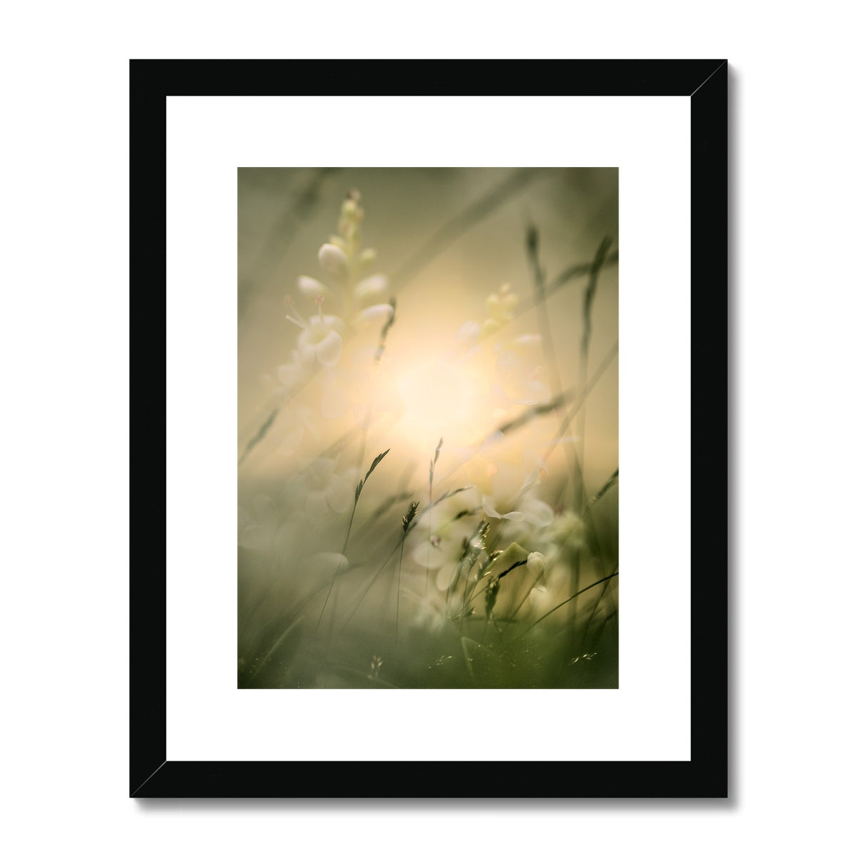 " Fantasia " Framed & Mounted Print