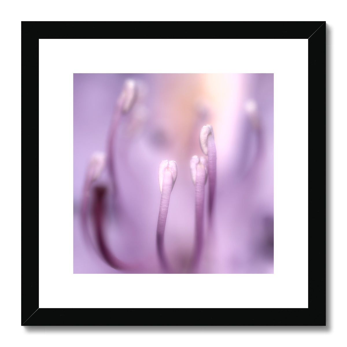 "In To The Light" Framed & Mounted Print