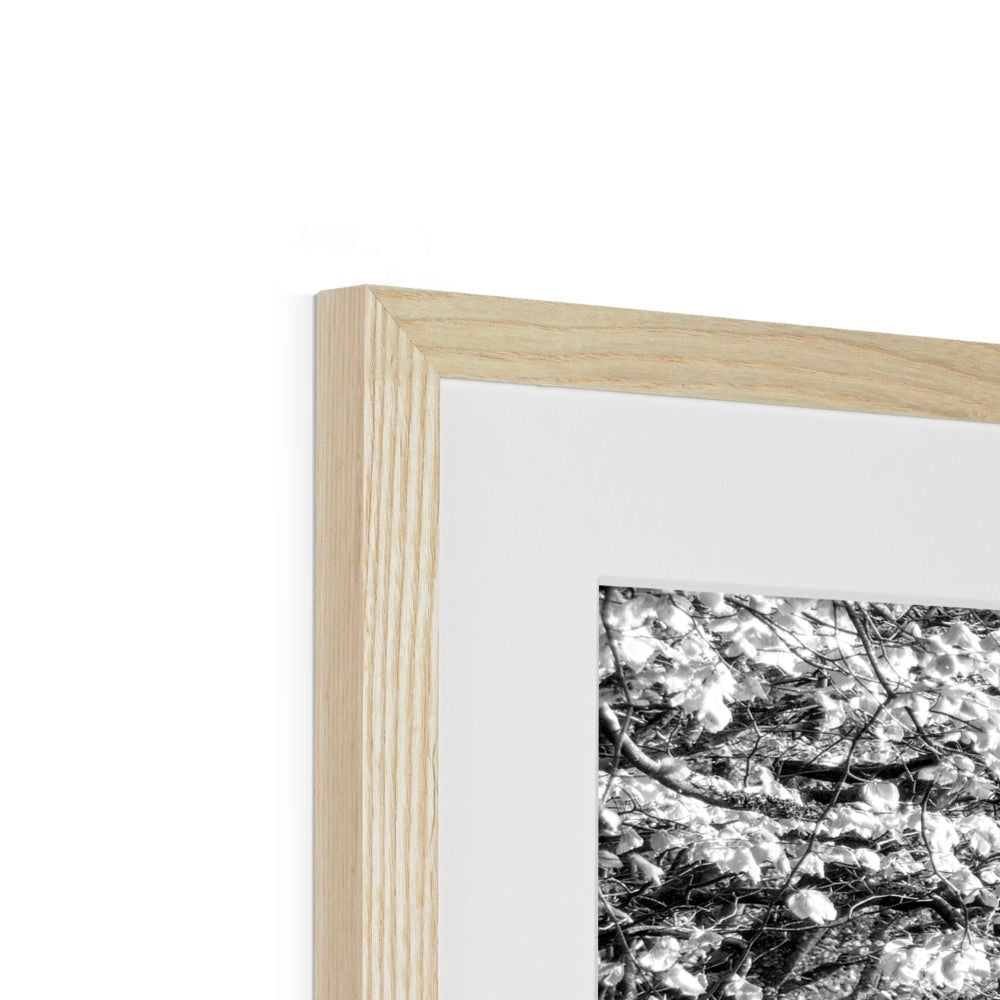 " Homeward Bound " Framed & Mounted Print