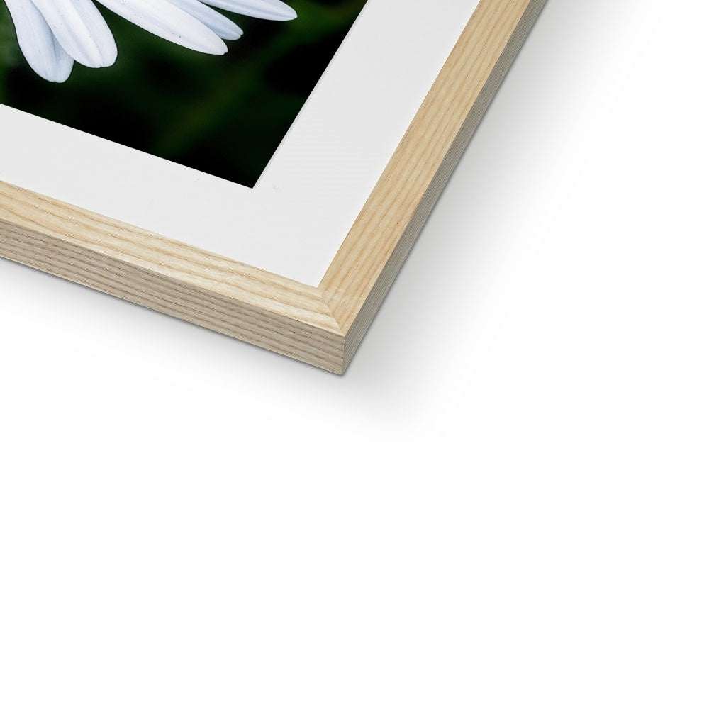 "Sunbathing" Framed & Mounted Print