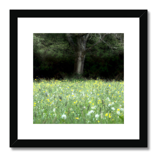 " In the Meadow " Framed & Mounted Print