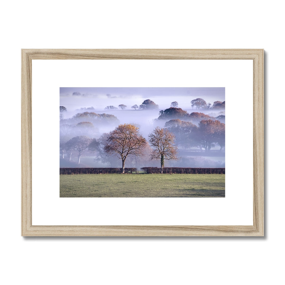 "Dorset Mist" Framed & Mounted Print