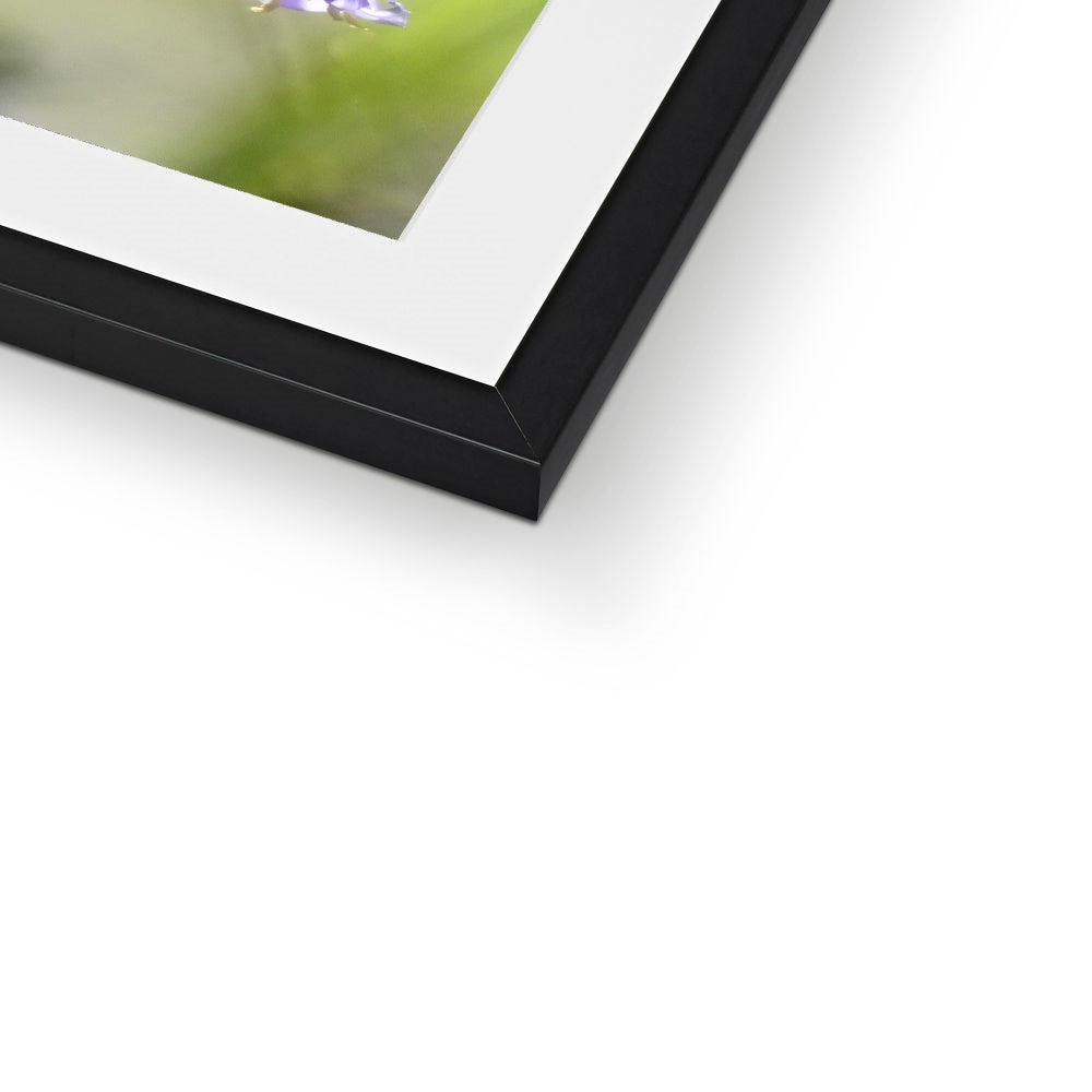 "The Bells" Framed & Mounted Print