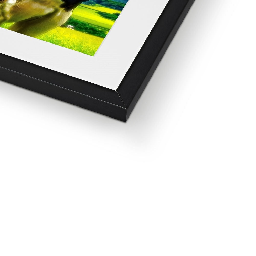 "Silly Cow - Photo Art" Framed & Mounted Print