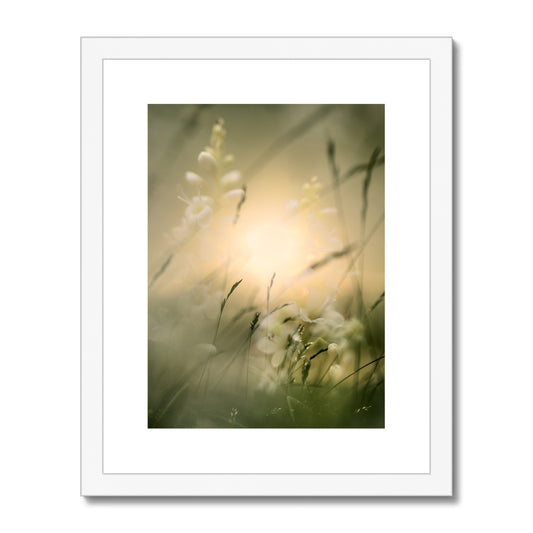 " Fantasia " Framed & Mounted Print