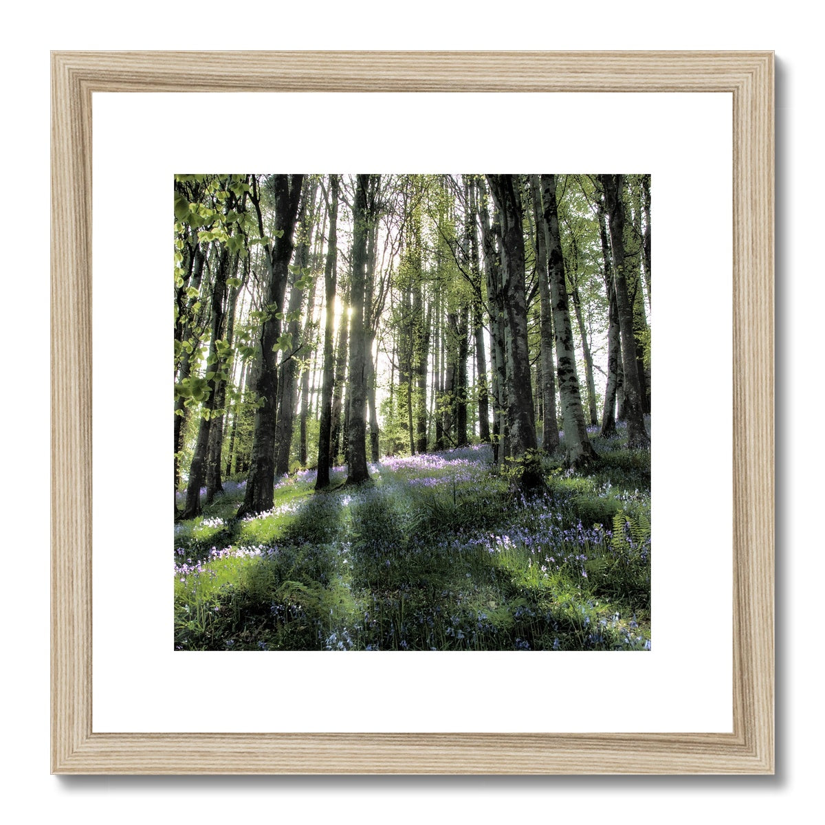 "Bella's Wood" Framed & Mounted Print