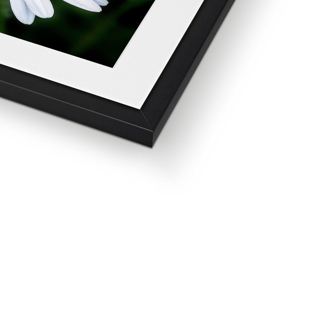 "Sunbathing" Framed & Mounted Print