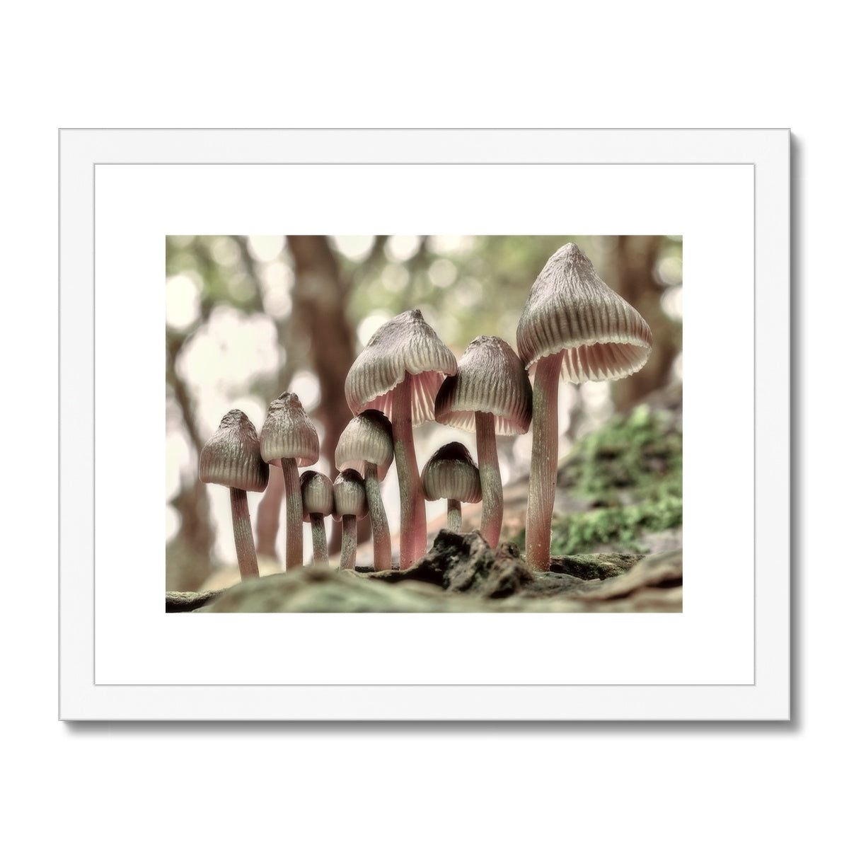 "Family Portrait" Framed & Mounted Print