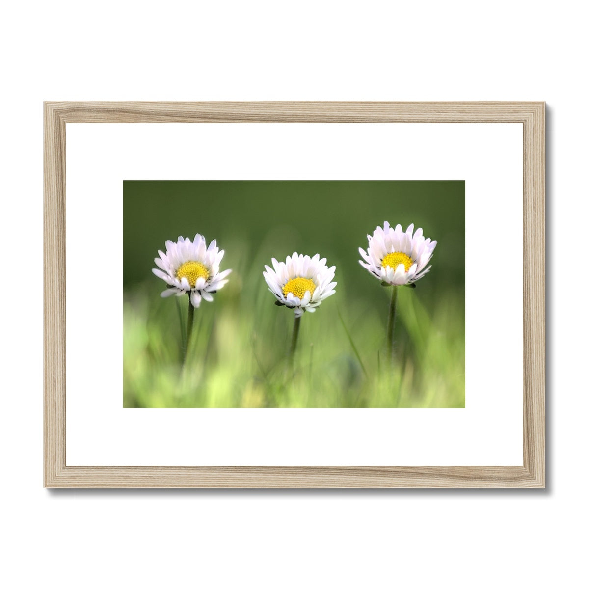 "Triplets" Framed & Mounted Print