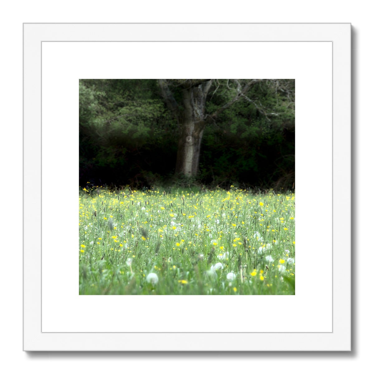 " In the Meadow " Framed & Mounted Print
