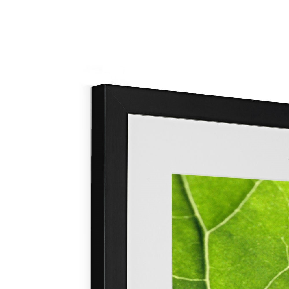 "Veins" Framed & Mounted Print
