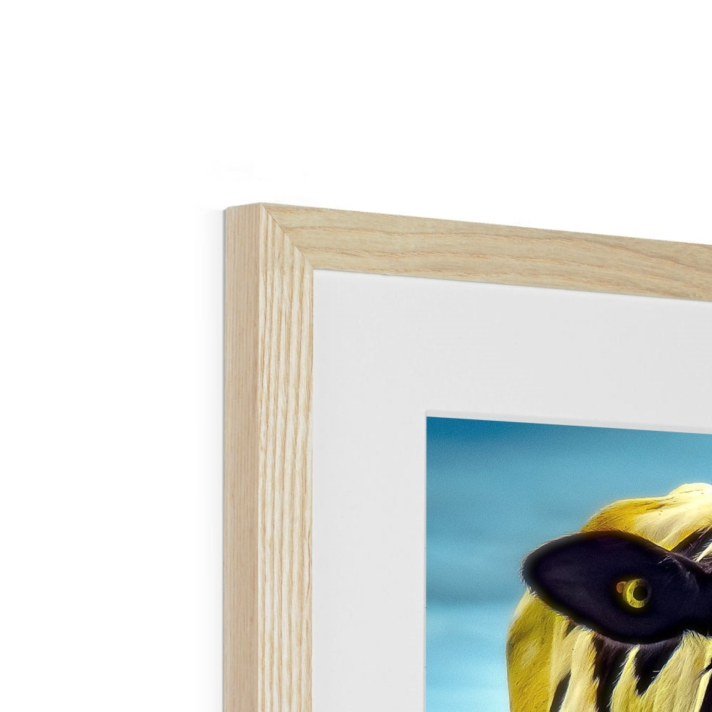 "Silly Cow - Photo Art" Framed & Mounted Print
