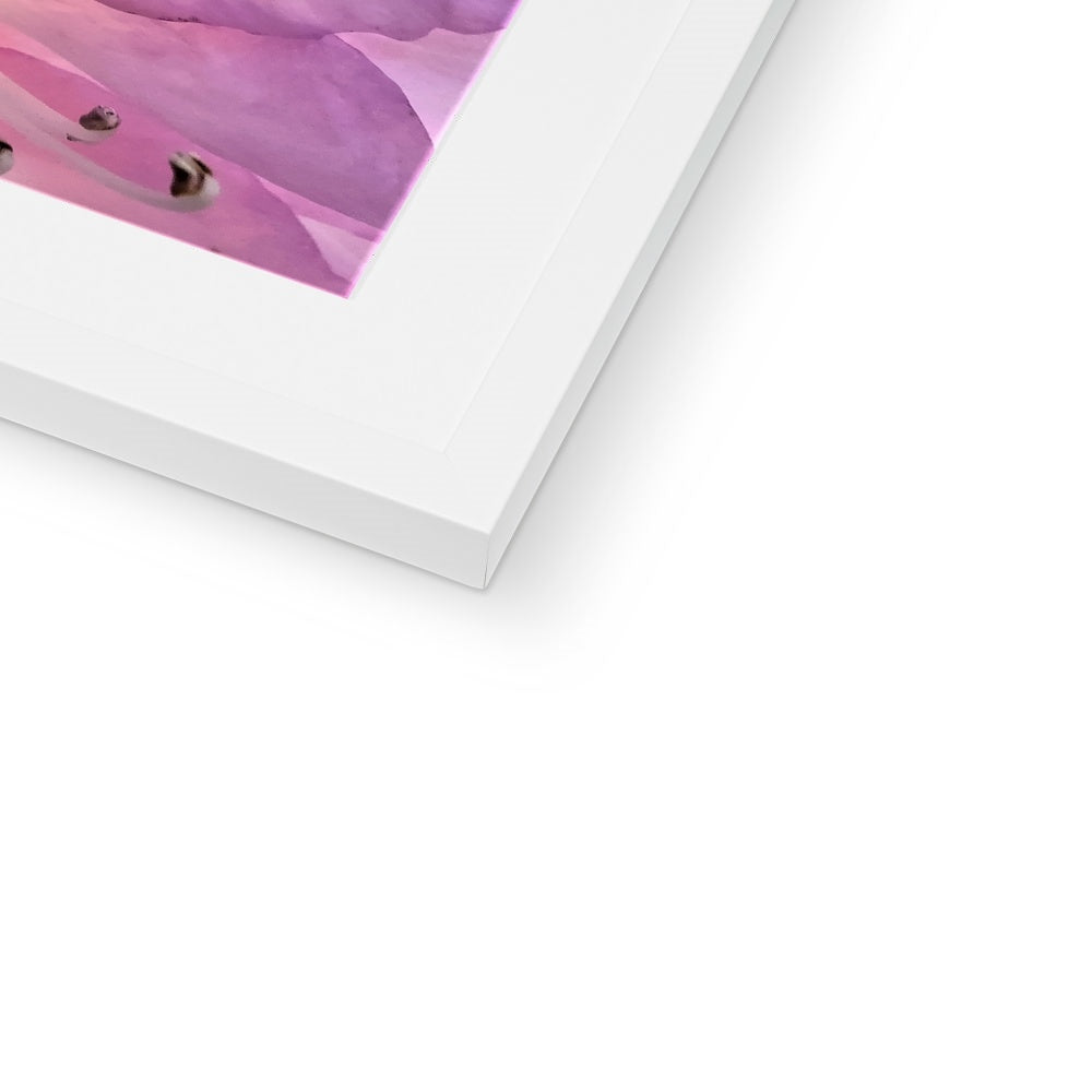 "Lily Peru" Framed & Mounted Print