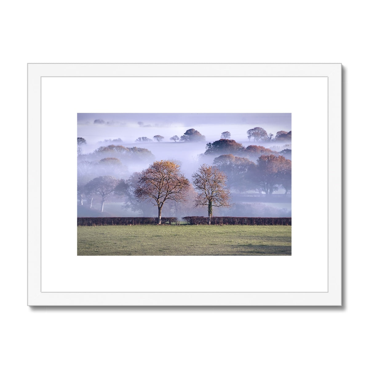"Dorset Mist" Framed & Mounted Print