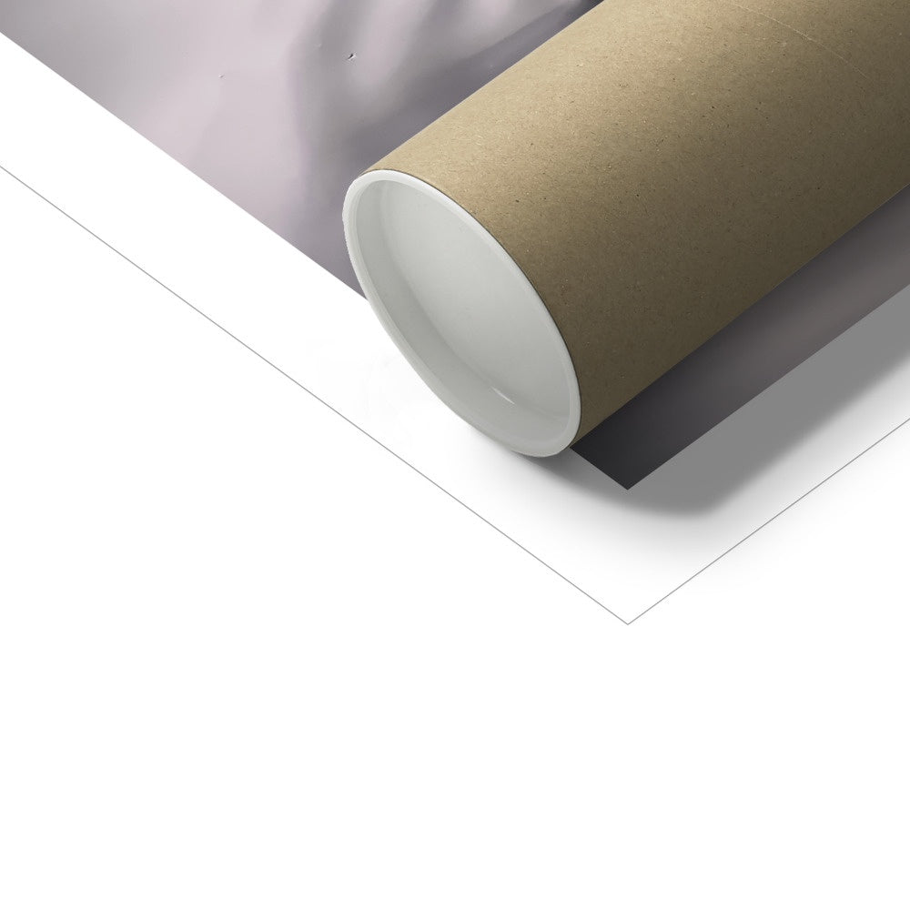 "Insex" Fine Art Print