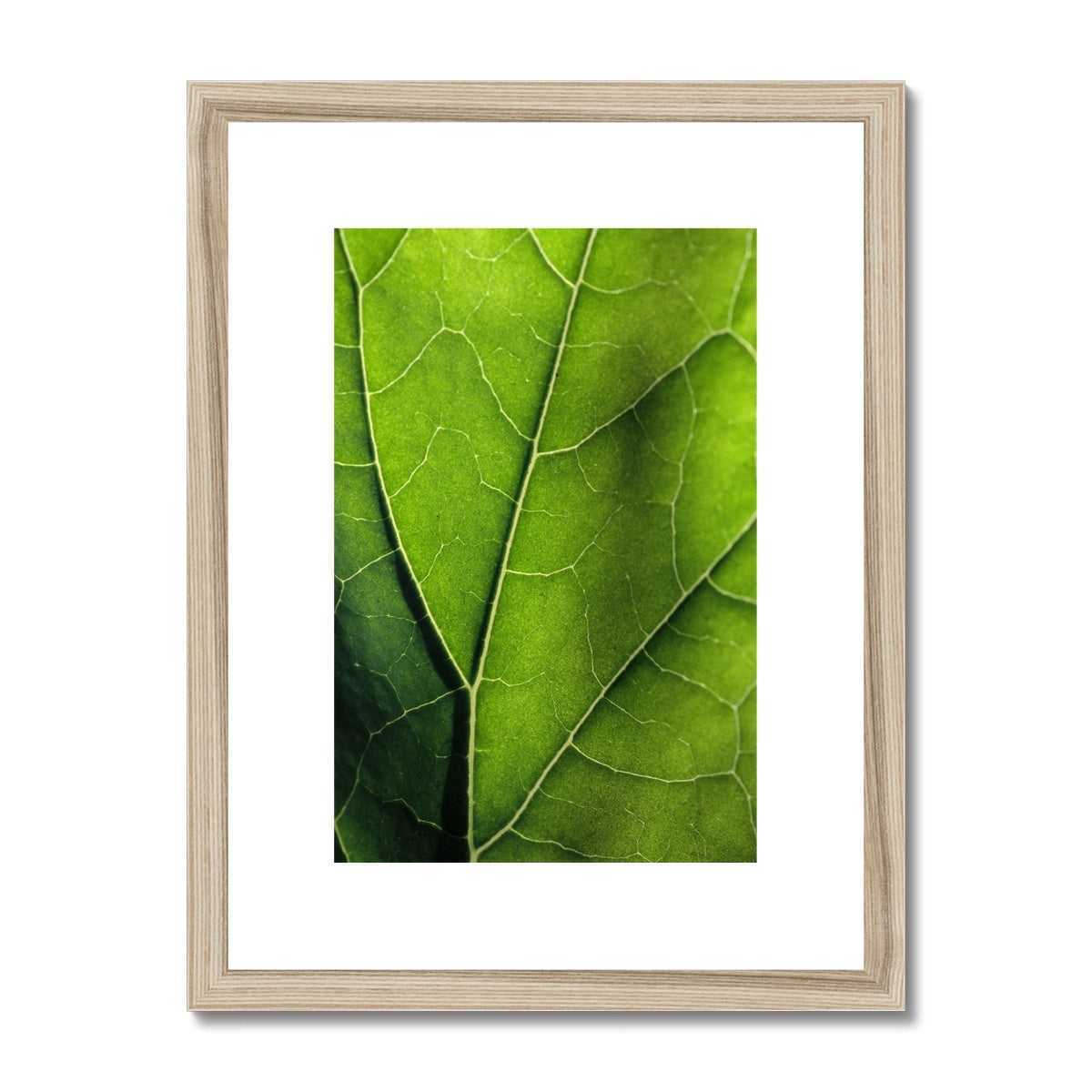 "Veins" Framed & Mounted Print