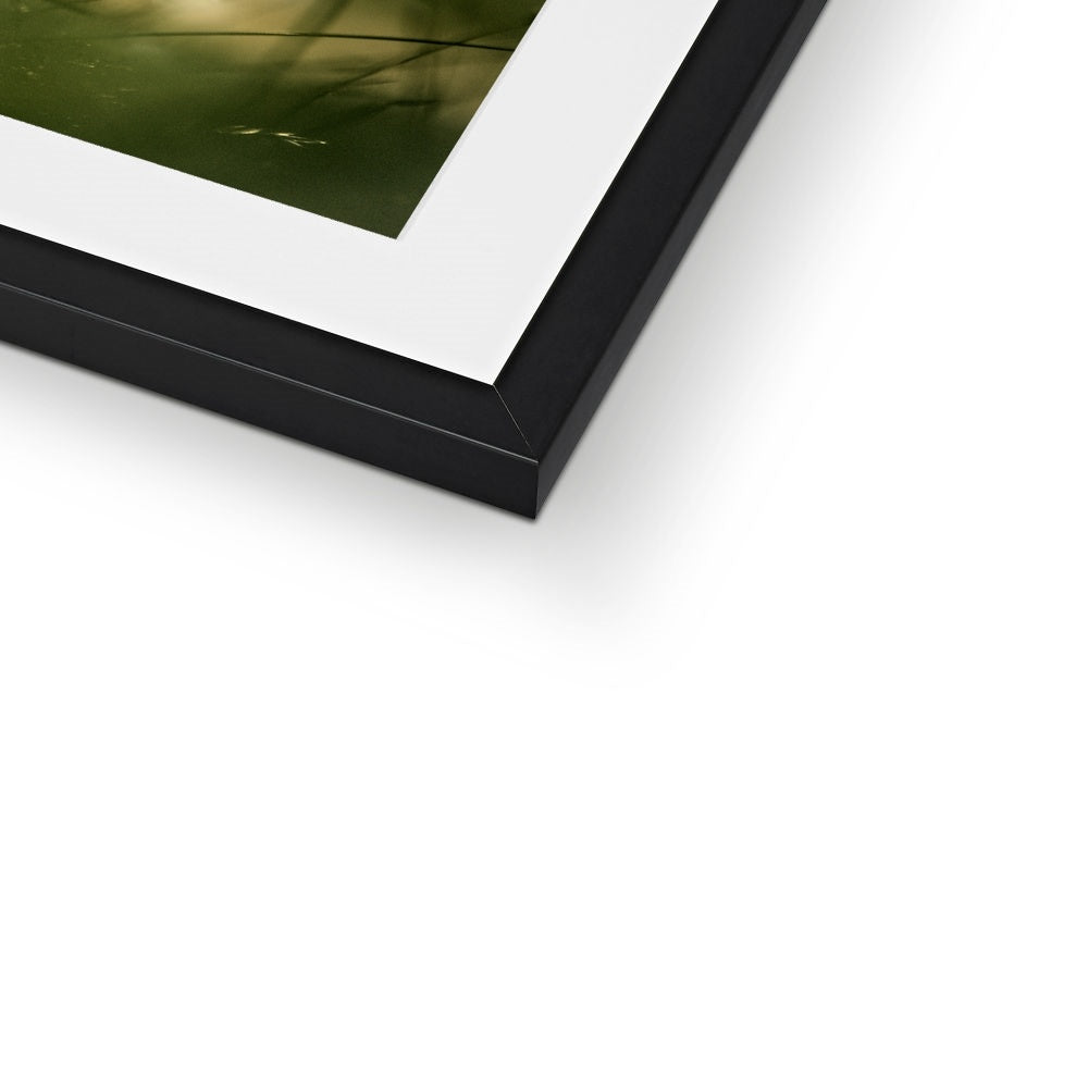 " Fantasia " Framed & Mounted Print