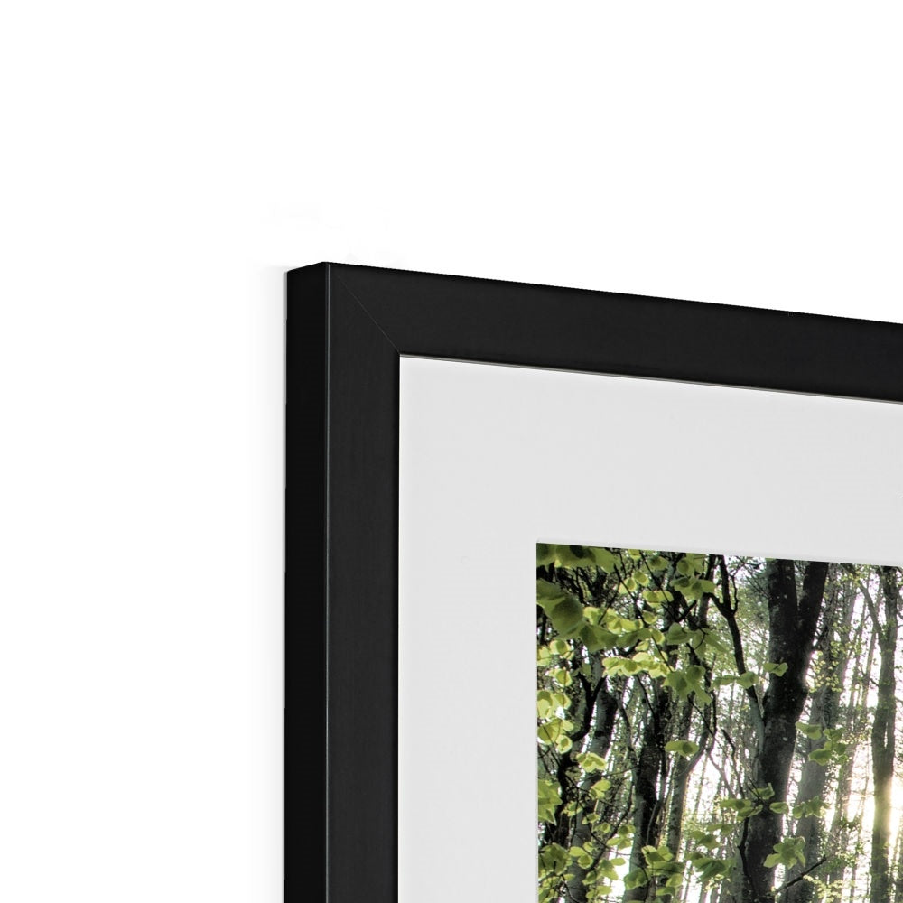 "Bella's Wood" Framed & Mounted Print