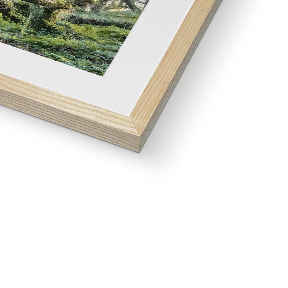" Gnarled " Framed & Mounted Print