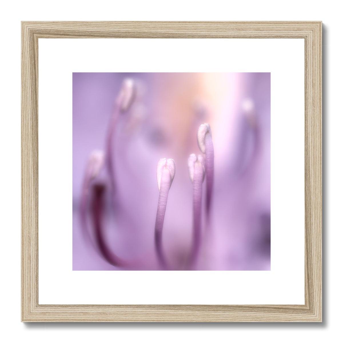 "In To The Light" Framed & Mounted Print