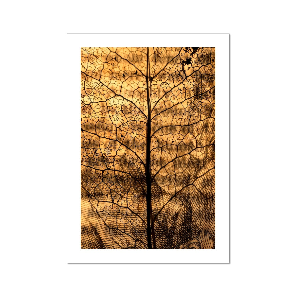 " Leaf upon Leaf " Fine Art Print