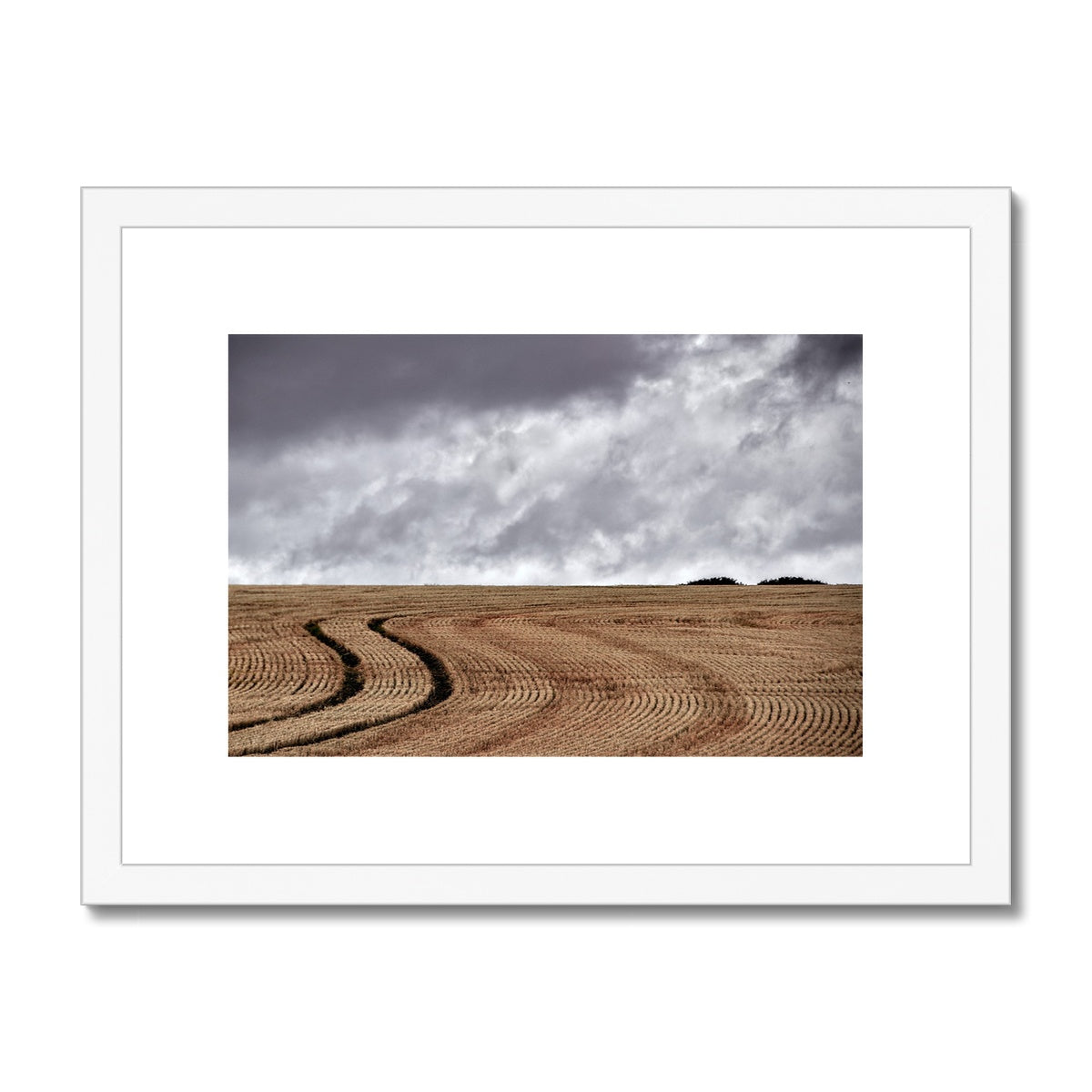 " Tracks " Framed & Mounted Print
