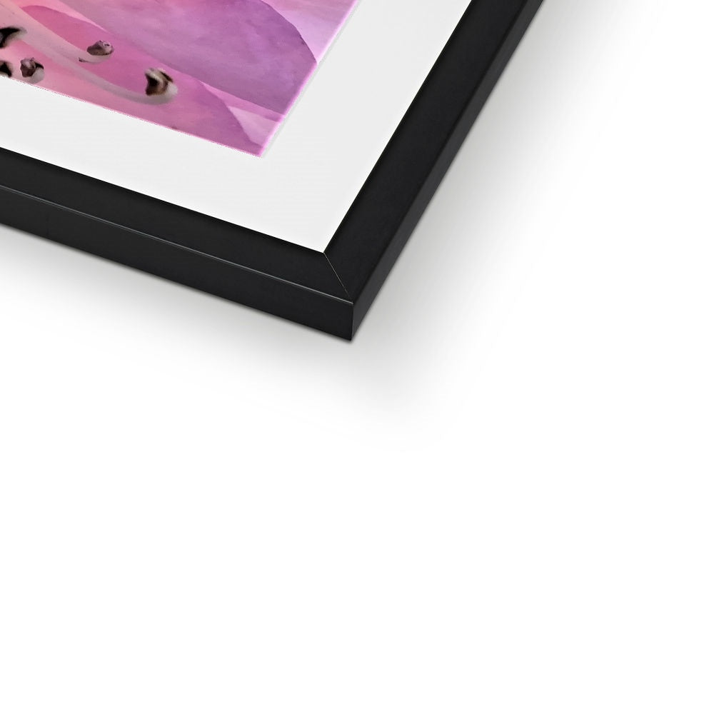"Lily Peru" Framed & Mounted Print