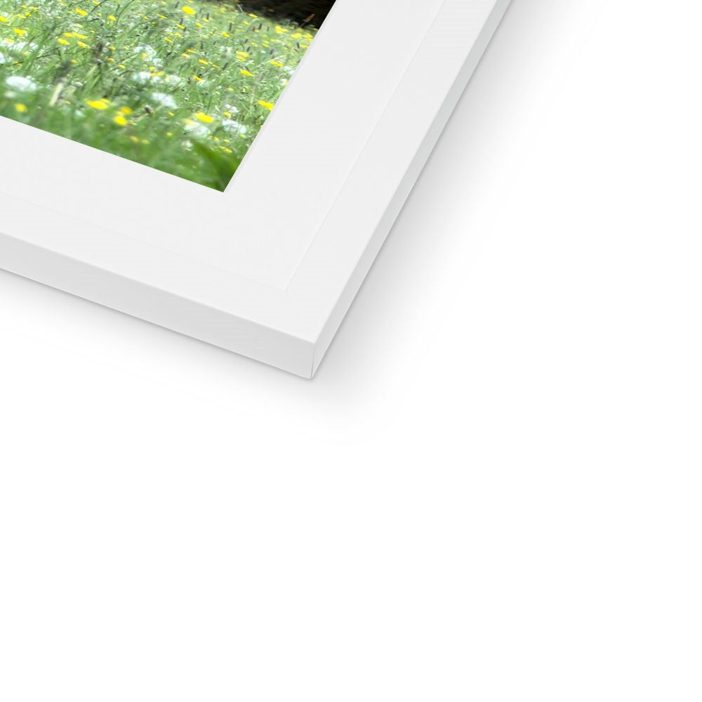 " In the Meadow " Framed & Mounted Print