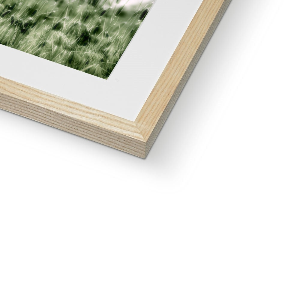 "The Green Grass" Framed & Mounted Print