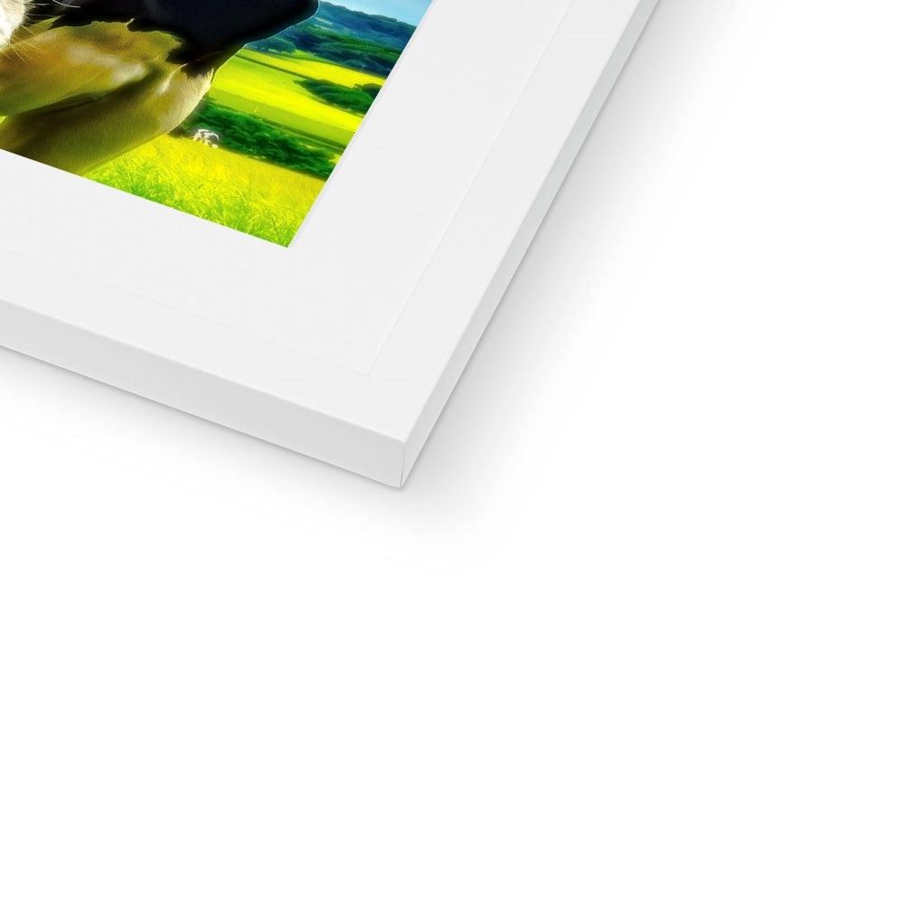 "Silly Cow - Photo Art" Framed & Mounted Print