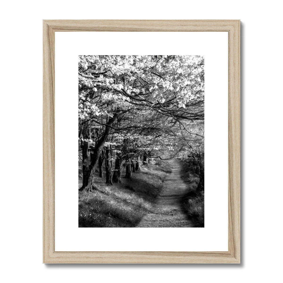 " Homeward Bound " Framed & Mounted Print