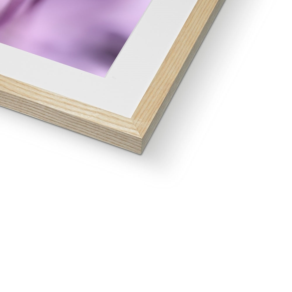 "In To The Light" Framed & Mounted Print
