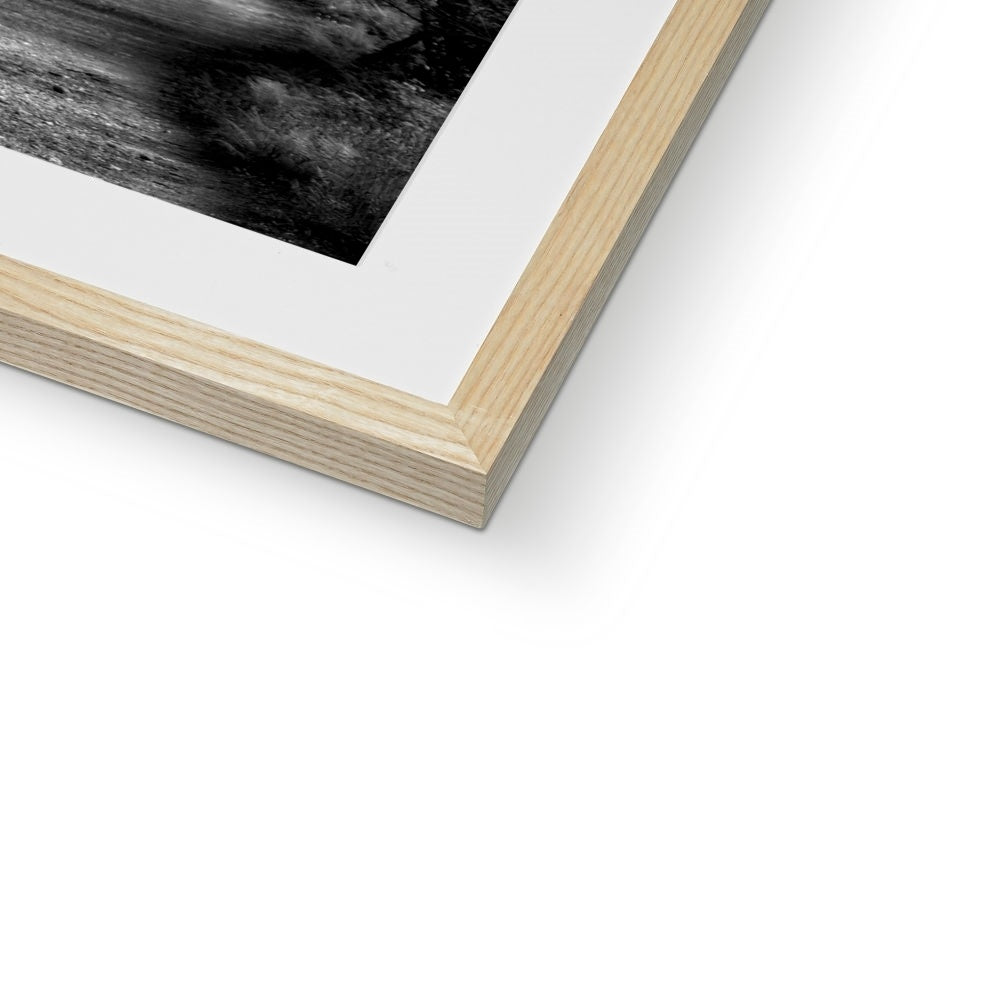 " Homeward Bound " Framed & Mounted Print