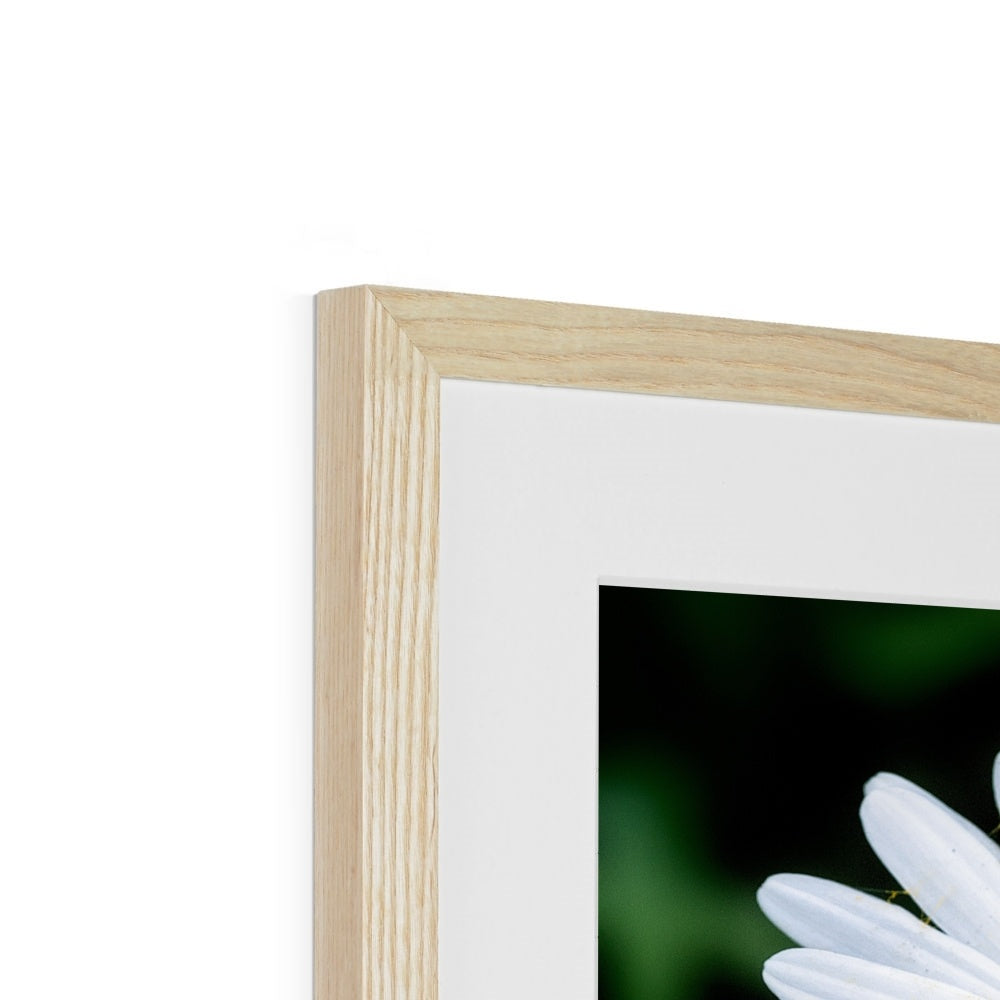 "Sunbathing" Framed & Mounted Print