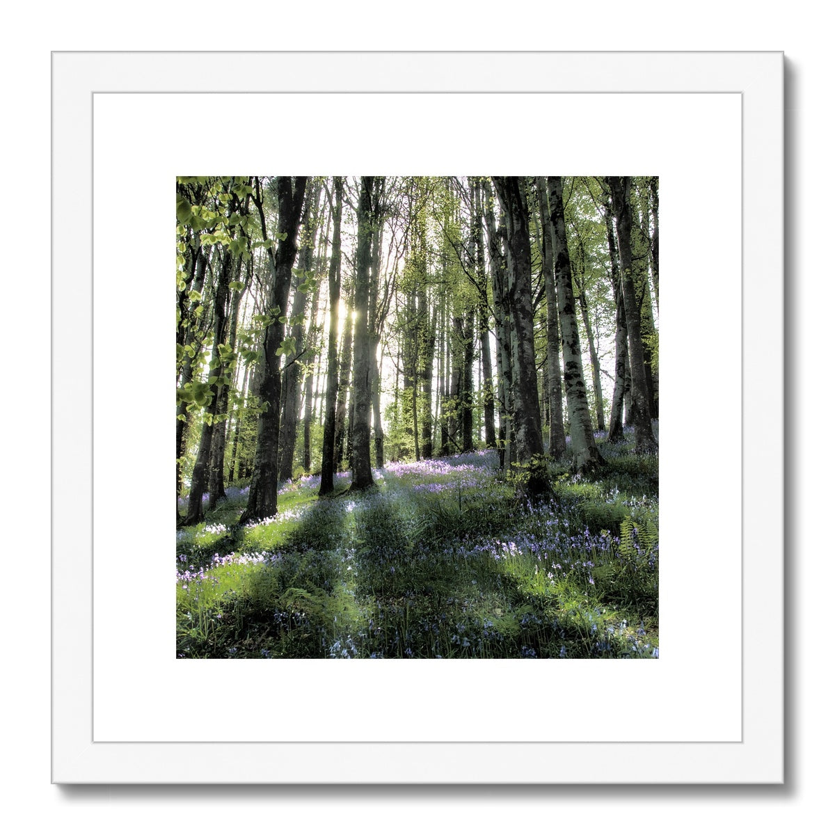 "Bella's Wood" Framed & Mounted Print