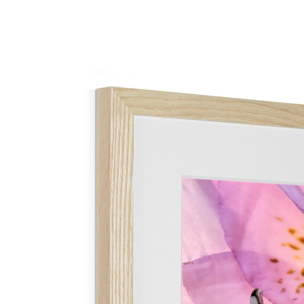 "Lily Peru" Framed & Mounted Print